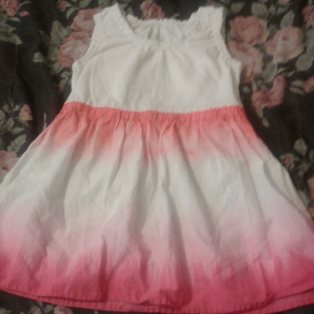 Girls The children's Place dress